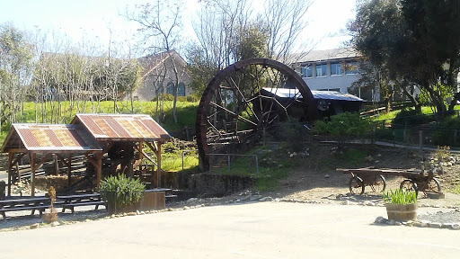 Museum «Angels Camp City Museum», reviews and photos