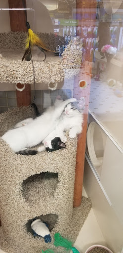 Pet Supply Store «Petco Animal Supplies», reviews and photos, 1201 E Washington Ave, Union Gap, WA 98903, USA