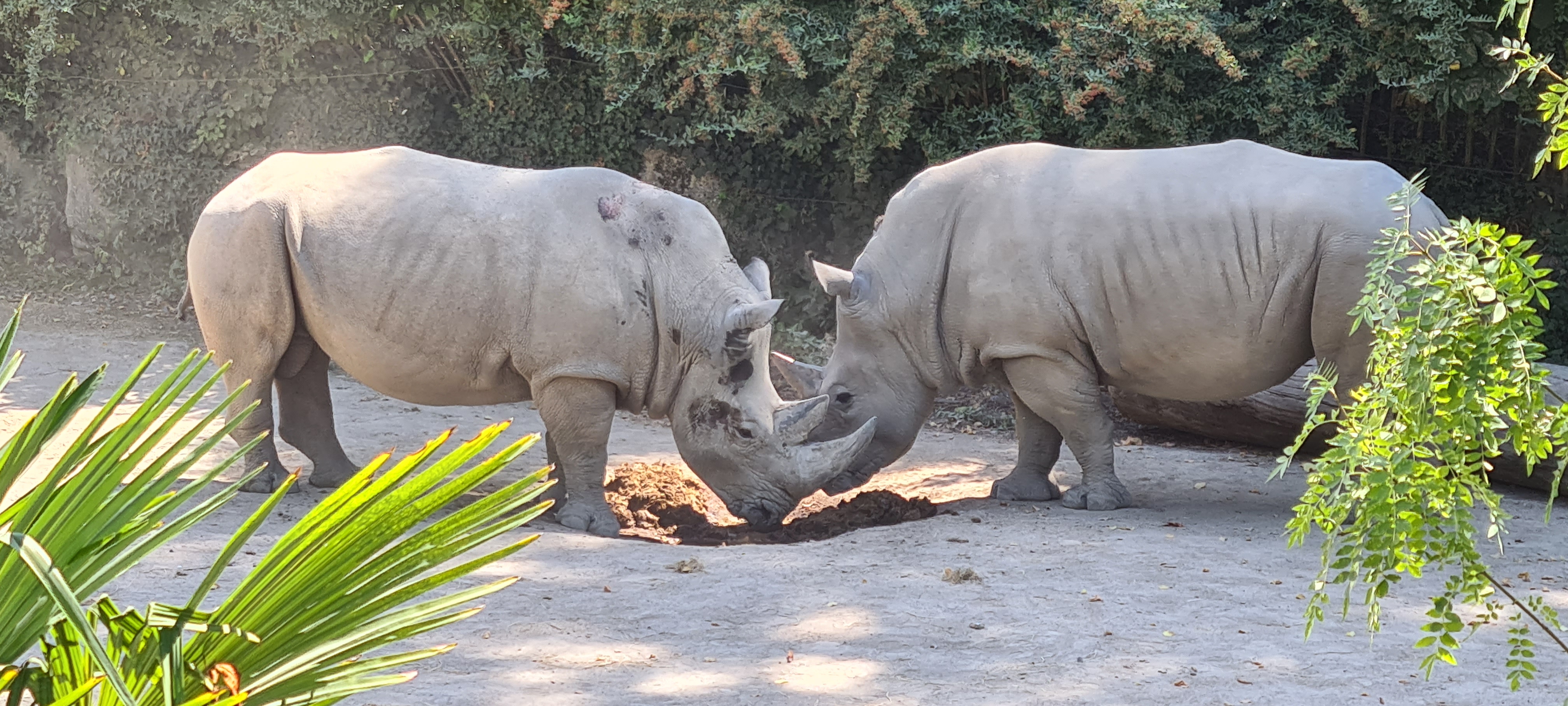 Photo n° 1 de l'avis de Chris.a fait le 16/08/2022 à 09:28