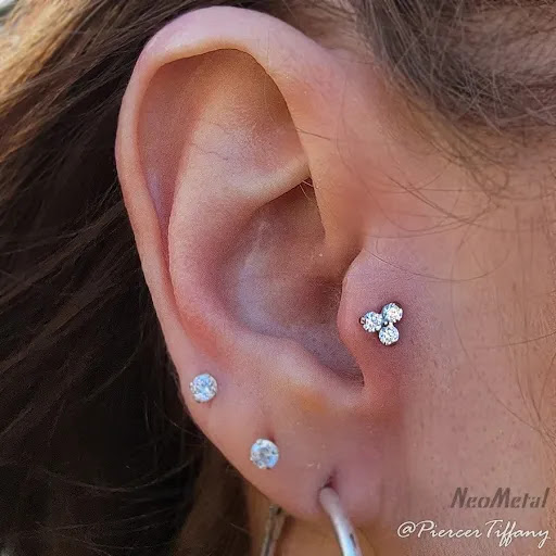 Explore bison tattoo ideas, creative tattoo ideas in Somerville, available at Piercings by Tiffany at Artisanal Tattoo