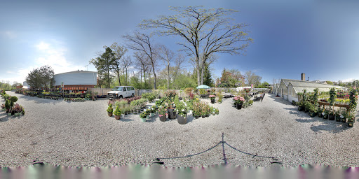 Florist «Victor Hlavacek Florist», reviews and photos, 746 Green Bay Rd, Winnetka, IL 60093, USA