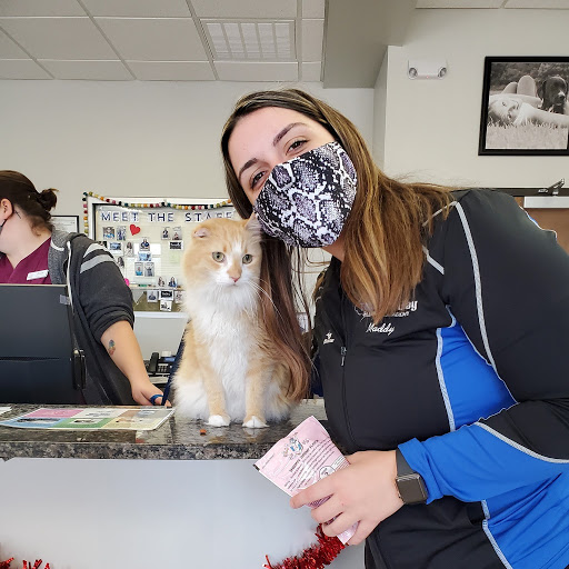 Pet Supply Store «North Tampa PET DEPOT», reviews and photos, 16033 Tampa Palms Blvd W, Tampa, FL 33647, USA