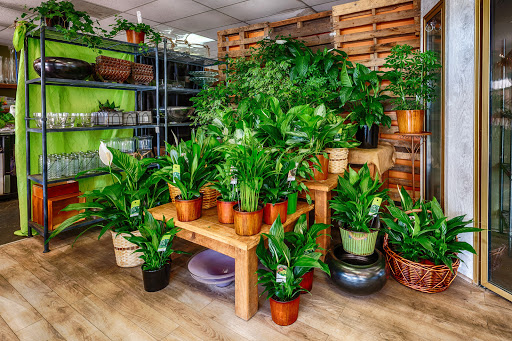 Florist «Cactus Flower Florists», reviews and photos, 10822 N Scottsdale Rd, Scottsdale, AZ 85254, USA