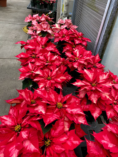 Garden Center «Quality Gardens», reviews and photos, 409 PA-228, Valencia, PA 16059, USA