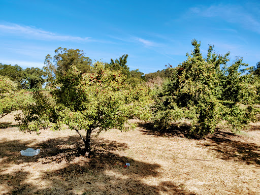 Farm «Oak Hill Farm», reviews and photos, 15101 CA-12, Glen Ellen, CA 95442, USA