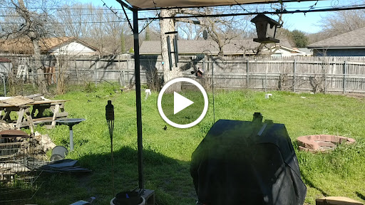 Bowling Alley «AMF Spare Time Lanes», reviews and photos, 3149 S Cooper St, Arlington, TX 76015, USA