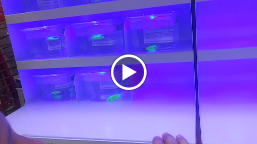 Pet Supply Store «Petco Animal Supplies», reviews and photos, 1450 Twixt Town Rd, Marion, IA 52302, USA