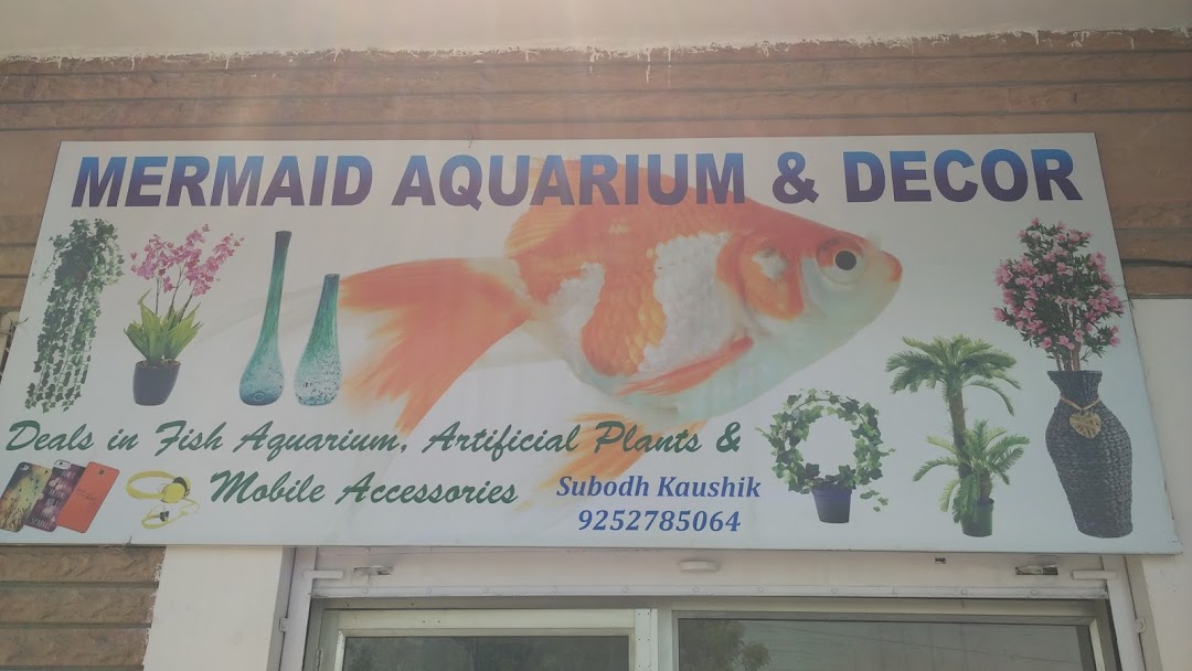 Mermaid Aquarium & Decor