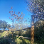 Photo n°15 de l'avis de Franco.r fait le 06/11/2022 à 12:50 sur le  Ristorante La Grotta da Fiore à Serrara Fontana