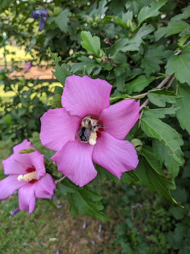 Park «Memorial Park», reviews and photos, 580 Valley St, Maplewood, NJ 07040, USA