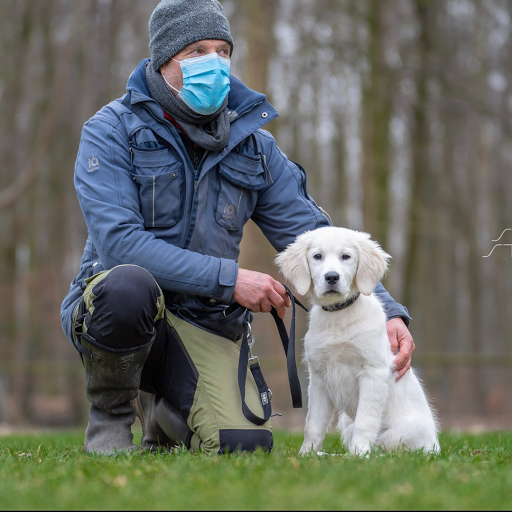 Training für Hundebesitzer - Hundeschule Dr. Sandra Bruns