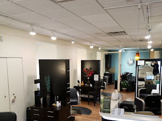 The Next Level Salon