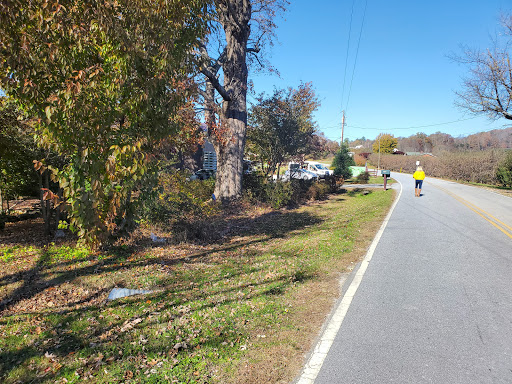 Vineyard «Saint Paul Mountain Vineyards», reviews and photos, 588 Chestnut Gap Rd, Hendersonville, NC 28792, USA