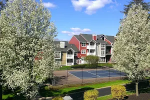 Treetops at Chester Hollow image