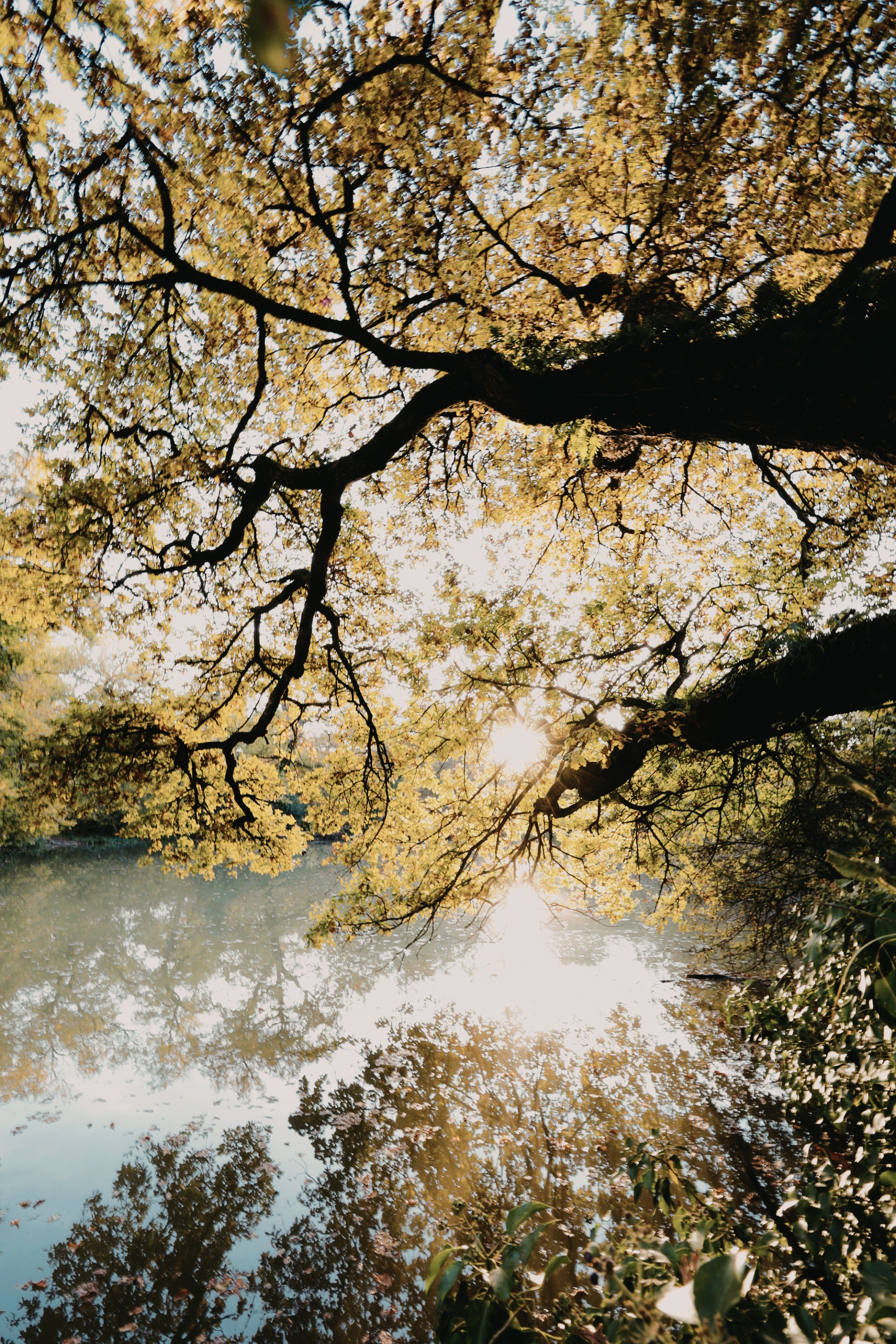 Photo n° 1 de l'avis de Anne.u fait le 14/11/2021 à 07:26