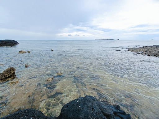 Top 20 cửa hàng akemi Huyện Lý Sơn Quảng Ngãi 2022