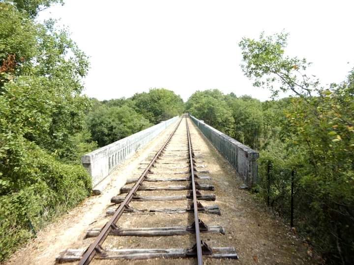 Photo n° 1 de l'avis de F..o fait le 16/08/2022 à 10:59