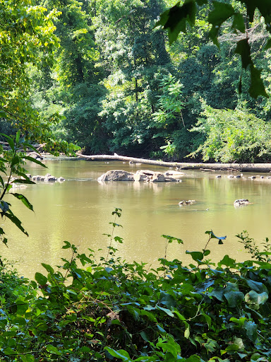 Grocery Store «Saxapahaw General Store», reviews and photos, 1735 Saxapahaw-Bethlehem Church Rd, Saxapahaw, NC 27340, USA