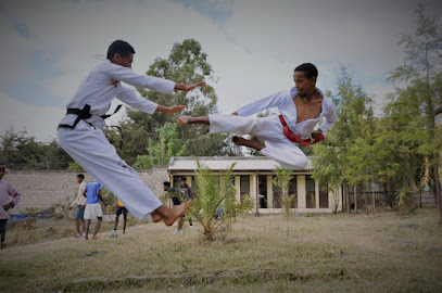 Utopia international Taekwondo club - Meri Addis Ababa, 1000, Ethiopia