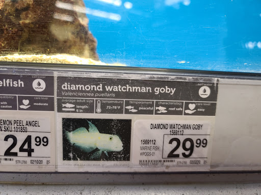 Pet Supply Store «Petco Animal Supplies», reviews and photos, 1704 US Hwy 27 S, Sebring, FL 33870, USA