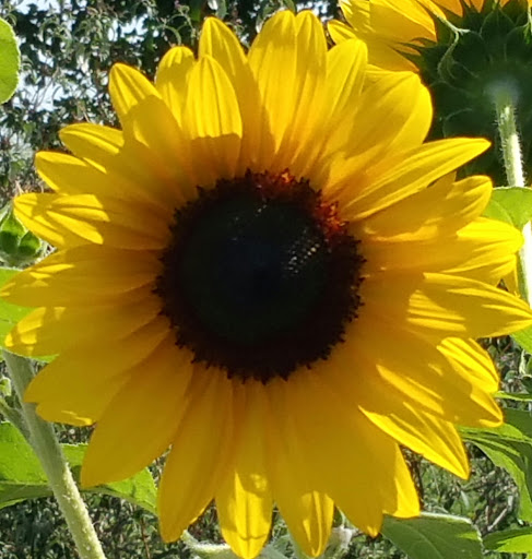 Park «Sherando Park», reviews and photos, 255 Lakeview Cir, Stephens City, VA 22655, USA