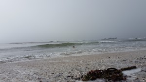 Pillar Point - photo 90