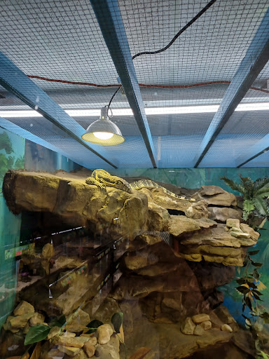 Pet Store «Incredible Pets Inc», reviews and photos, 2255 N Wickham Rd # 102, Melbourne, FL 32935, USA