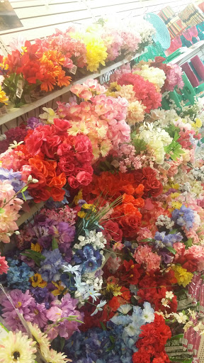 Dollar Store «Dollar Tree», reviews and photos, 10581 Springfield Pike, Woodlawn, OH 45215, USA