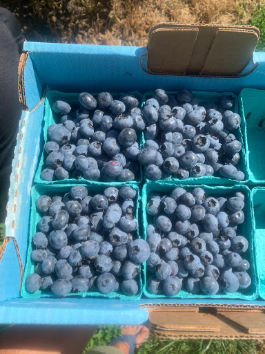 Produce Market «Boones Ferry Berry Farms», reviews and photos, 19602 NE Boones Ferry Rd, Hubbard, OR 97032, USA