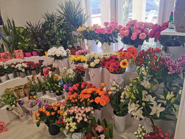 Opinii despre Milo Flower & Gift Shop 2 în <nil> - Florărie