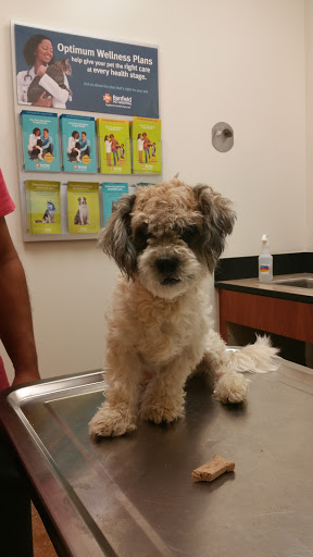 Pet Supply Store «PetSmart», reviews and photos, 2201 Gallatin Pike N, Madison, TN 37115, USA