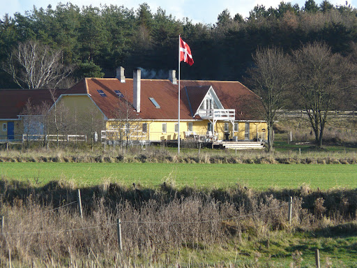 Borgmosegaard Hundepension v/Lars Borg in Ryomgård, Syddjurs