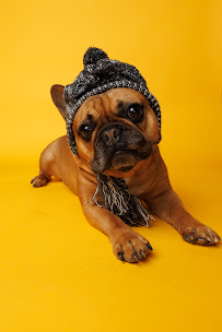 Ek and Rhys Photography - Photo 2 - Car repair in , Ogden