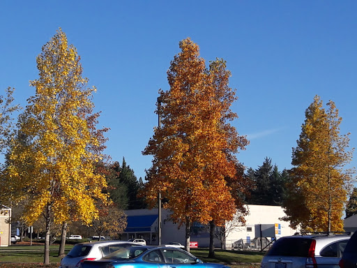 Shopping Mall «Sunset Shopping Center», reviews and photos, 5270 SW Philomath Blvd, Corvallis, OR 97333, USA