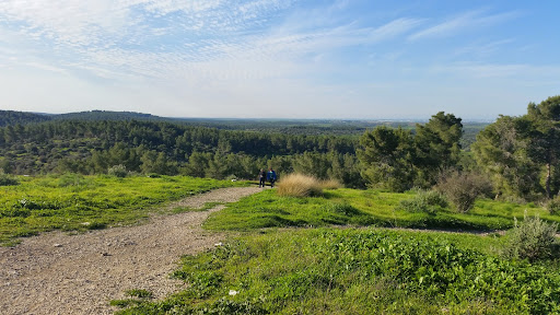 Britannia Park