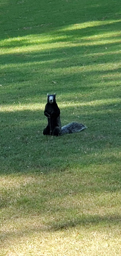 Golf Club «Burning Ridge Golf Club», reviews and photos, 500 Burning Ridge Rd, Conway, SC 29526, USA