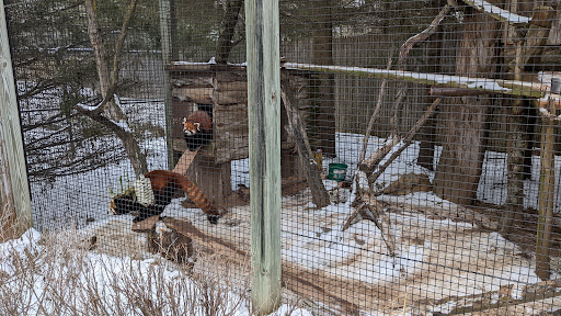 Zoo «NEW Zoo & Adventure Park», reviews and photos, 4378 Reforestation Rd, Green Bay, WI 54313, USA