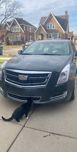 Used Car Dealer «Luxury Auto Group», reviews and photos, 15846 W Warren Ave, Detroit, MI 48228, USA