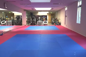 Taekwondo IN NAE DO KWAN image