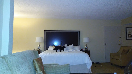 Hotel «Palm Beach Gardens Marriott», reviews and photos, 4000 Rca Blvd, Palm Beach Gardens, FL 33410, USA