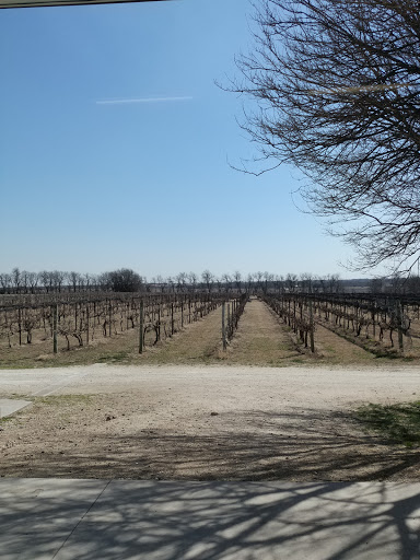 Winery «Grace Hill Winery», reviews and photos, 6310 S Grace Hill Rd, Whitewater, KS 67154, USA