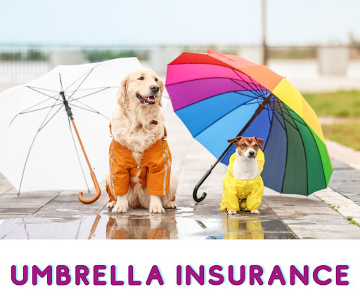 Insurance Agency «Secord Agency Insurance», reviews and photos