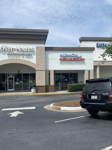 Tropical Fish Store «Nemo Aquarium», reviews and photos, 1560 Indian Trail Rd #106, Norcross, GA 30093, USA