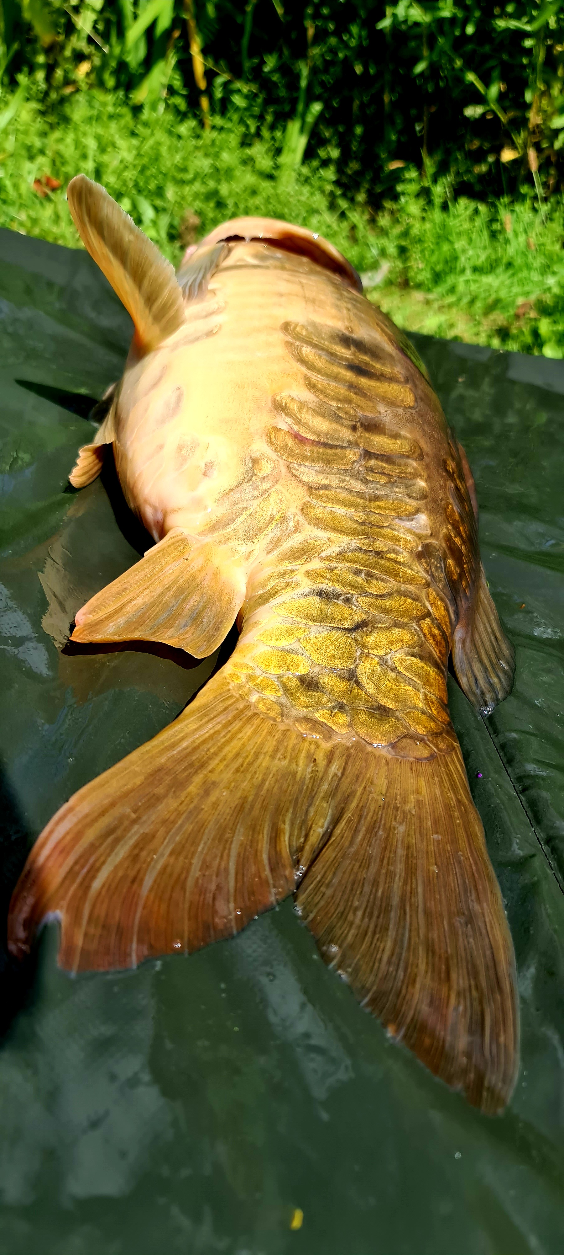 Photo n° 2 de l'avis de Thomas.i fait le 07/08/2020 à 13:27