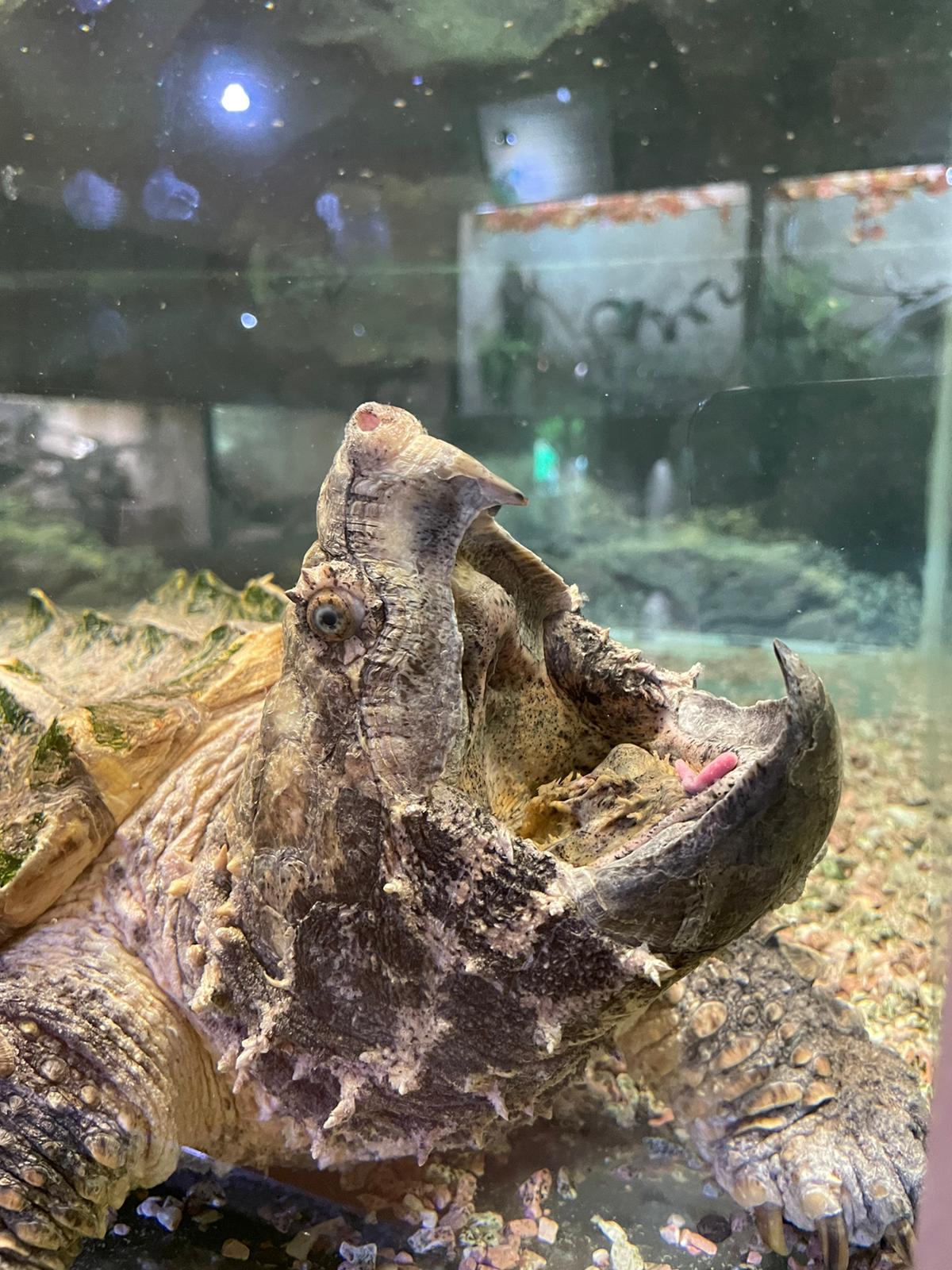 Photo n° 1 de l'avis de Marie.r fait le 11/06/2022 à 17:39