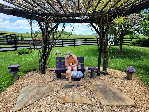 Farm «White Oak Lavender Farm & The Purple WOLF Vineyard», reviews and photos, 2644 Cross Keys Rd, Harrisonburg, VA 22801, USA