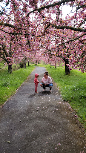 Science Museum «Science Factory», reviews and photos, 2300 Leo Harris Pkwy, Eugene, OR 97401, USA