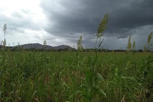 Uduvalli Lake image
