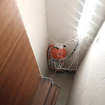 Photo n°1 de l'avis de franco.e fait le 26/05/2020 à 22:41 sur le  Hotel Ritz à Chivasso