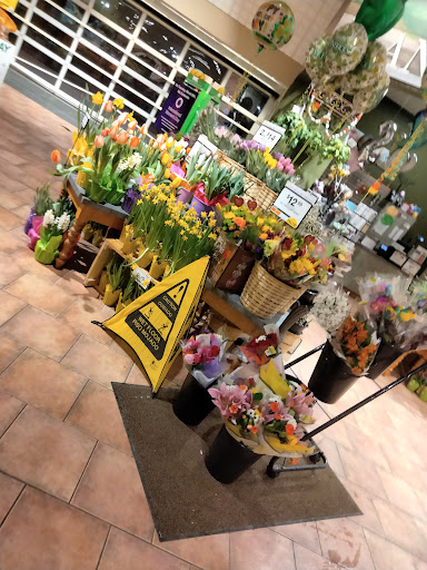 Supermarket «Big Y», reviews and photos, 135 West Rd, Ellington, CT 06029, USA